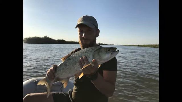 Рыбалка" ДЕД "Большой Могой, сентябрь 2017. смотреть онлайн