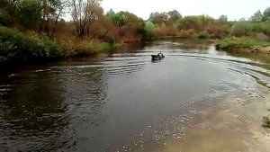 Лодка Нева мотор Ветерок 8М