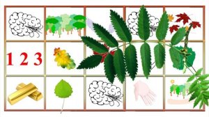 Живые мнемотаблицы  Учим стихотворение 'Осенние листья'  Наше всё!