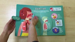 Удивительная книга "Тело человека"