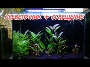 Сделал новый креветочник + новое освещение на нём.