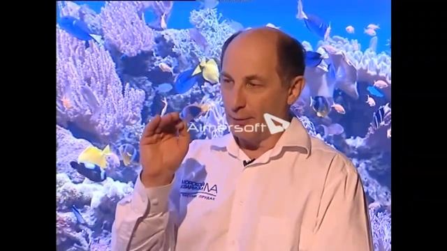 осьминог в океанариуме на чистых прудах смотреть онлайн