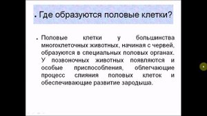 Половое размножение животных (2). Биология 6 класс.