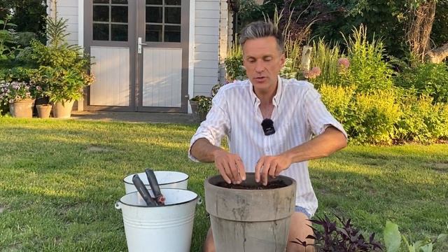 Arranging a summer pot garden on the terrace. potting dahlias. summer plants. Baltic Gardening