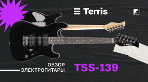 Обзор на электрогитару TERRIS TSS-139 BK