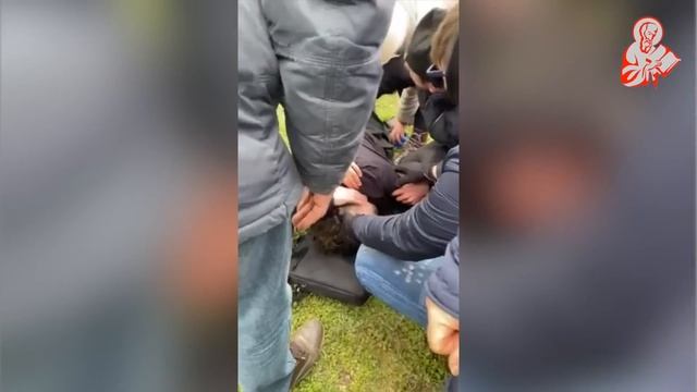 Почему греки в ответе за рейдеров, которых приручили смотреть онлайн