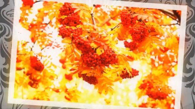 Красной Гроздью Рябина Зажглась... смотреть онлайн