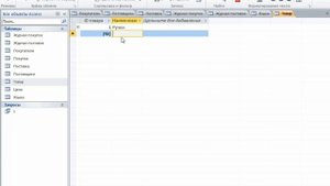4.3 Подтаблицы Microsoft Access 2010.