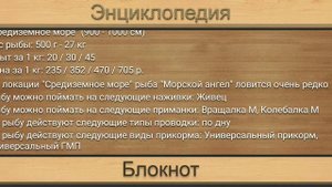 Реальная рыбалка. Средиземное море. Кто на что ловится.