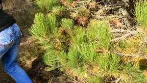 Что скрывает гора Тепе-Оба? Мы не знали об этом раньше.. #Крым, #Феодосия, #Тепе-Оба, #ЖизньвКрыму