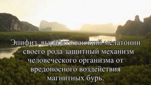 Как помочь организму во время магнитных бурь  — Статья