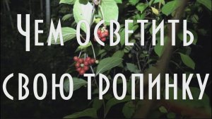  Чем осветить свою тропинку? Пробую мой новый мульти фонарь armytek wizard magnet usb