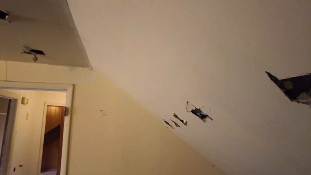 Дом - Теремок в Балтиморе