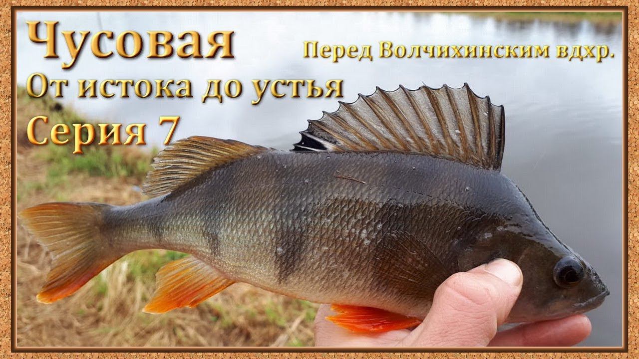 Чусовая: от истока и до устья. Серия 7 -- перед Волчихинским вдхр
