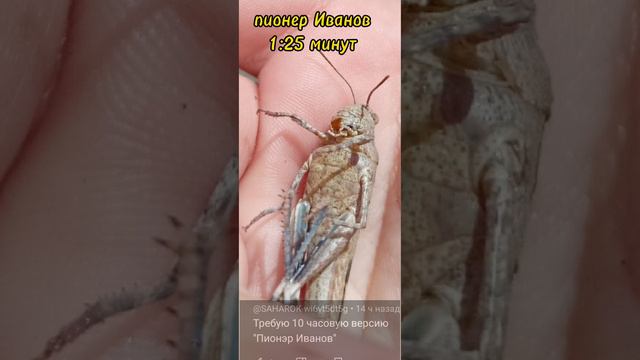 1:25 минут версия пионер Иванов смотреть онлайн