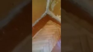 Снятие масляной краски с паркета
