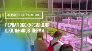 Экскурсия для школьников в гидропонную теплицу и работа в лаборатории