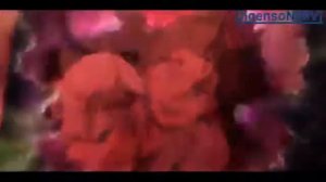 AMVАниме Клип Душа свободна как ветер