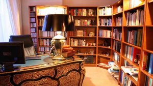 Найди кота #8 Коты маскируются Игра "НАЙДИ КОТА" за 10 секунд!"