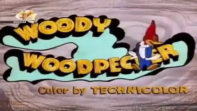 Assistir Pica Pau em Português смотреть онлайн