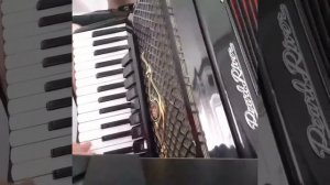 Pearl River live acordion
