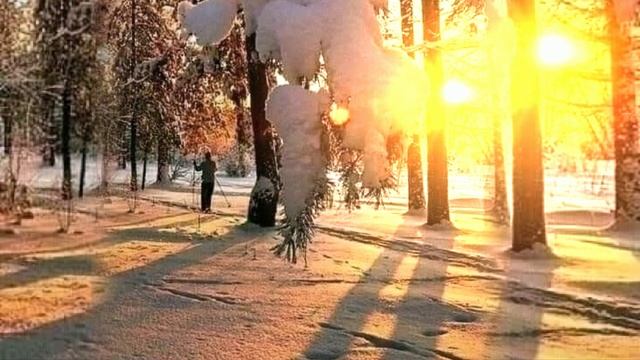 А зори здесь зимние