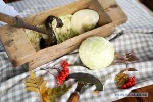 РУБИМ КАПУСТУ