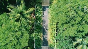 Sea Sand Sun Resort and Villa Hotel's video Overview