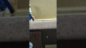 Разбухла столешница что делать 5