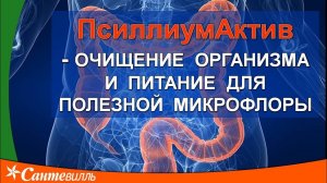 Очищение в домашних условиях. ПсиллиумАктив | Пища как лекарство