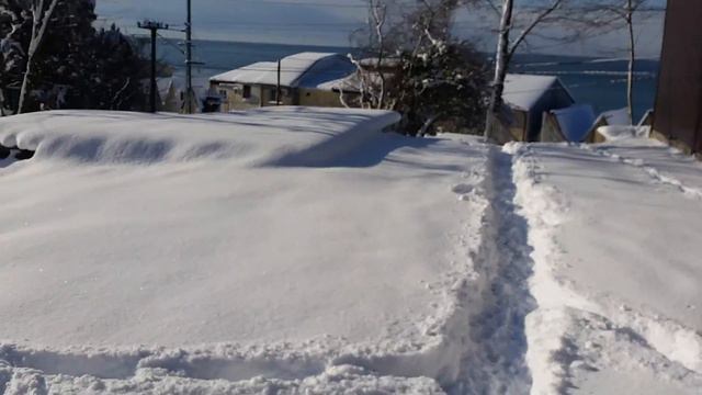 Волоконка зимой смотреть онлайн