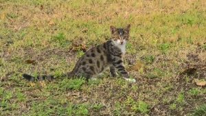 Dream World Resort & SPA 5* лучший отель за свои деньги!