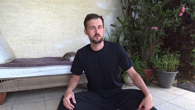 #2 Важные моменты в практике йоги которые нельзя упускать. Этапы в йоге #yogalife #йога #йогауроки смотреть онлайн