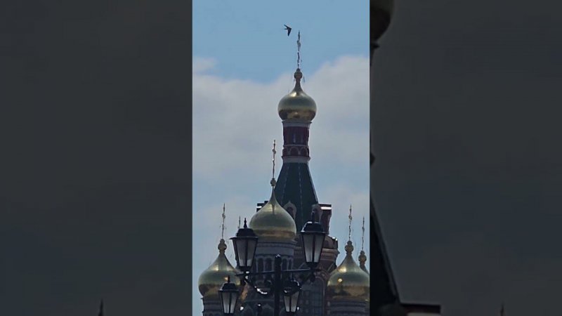 6 июня 2024 г.