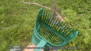 Плодосборник для ягод