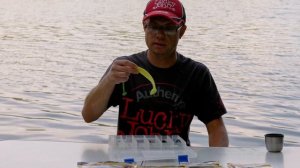 Как ловить на виброхвост LJ Minnow