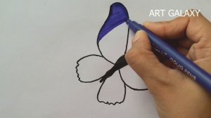 How to draw a butterfly (very easy) step by step || Butterfly drawing ||