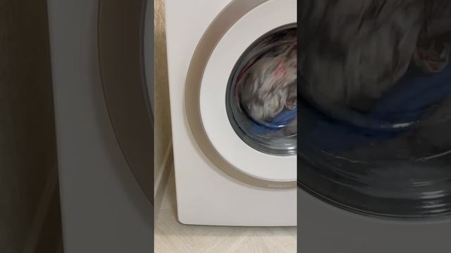 Добрый день! Новая машинка Gorenje, в эксплуатации меньше по...