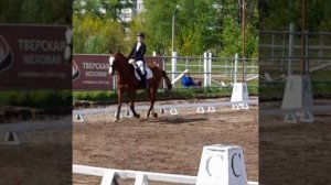 Выступление по выездке 🤩 //equestrian