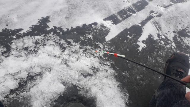 Рыбалка зимой в конце января на мормышку. Заснеженное озеро. Ерши