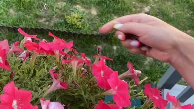 Магазин фамилия/заготовки на зиму/педикюр смотреть онлайн