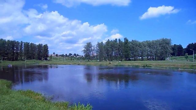 Vlog magico🦉🦎🕷🕸 #19.2 Работа на природе,магия друидов...lavoro sulla natura, la magia dei druidi