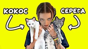 Анджилиша - Песня про котят (Серега и Кокос) (Ai cover)