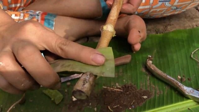 how to Java Plum Tree Rooting Fast In Banana Tree | Grafting Java Plum Tree смотреть онлайн