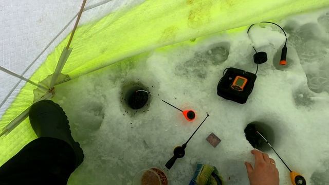 Рыбалка на Чудском озере.Как меня обломали рыбаки на самом клёве смотреть онлайн