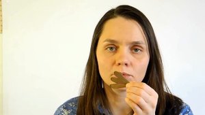 Китайский коу сян