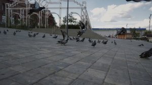 КИНЕШМА  Сергей Братский