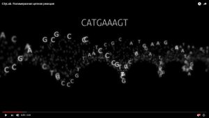 Полимеразная цепная реакция. Лаборатория CL (бывший CityLab)