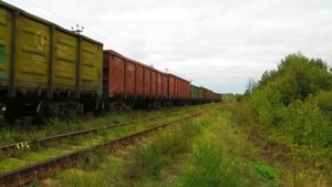 Маневровый тепловоз ТЭМ2-1882 с грузовыми вагонами на промышленном подъездном пути (г.Владимир)