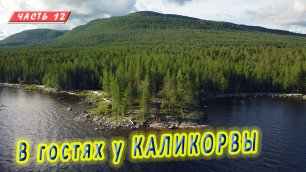 #12 Гора Каликорва  | Идём в Зареченск | Княжегубско - Иовско - Кумское кольцо 2021